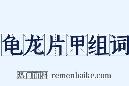 龟龙片甲组词是什么意思的图片